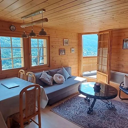 Chalet 3 Pieces De Caractere Mayoux Eksteriør bilde
