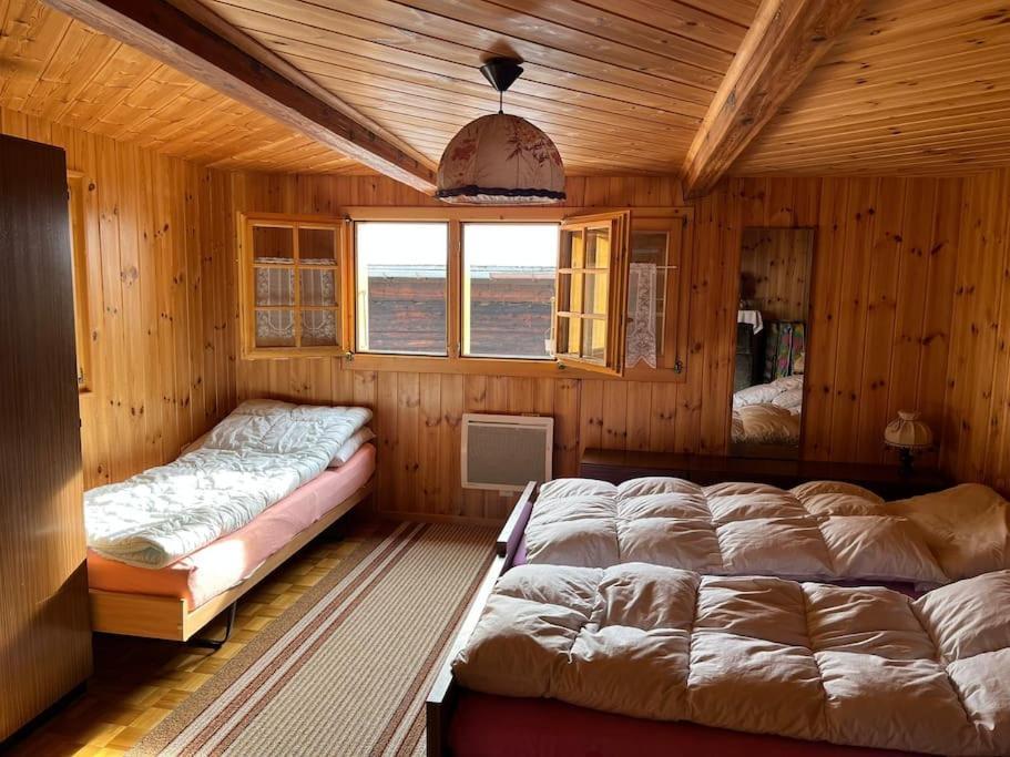 Chalet 3 Pieces De Caractere Mayoux Eksteriør bilde